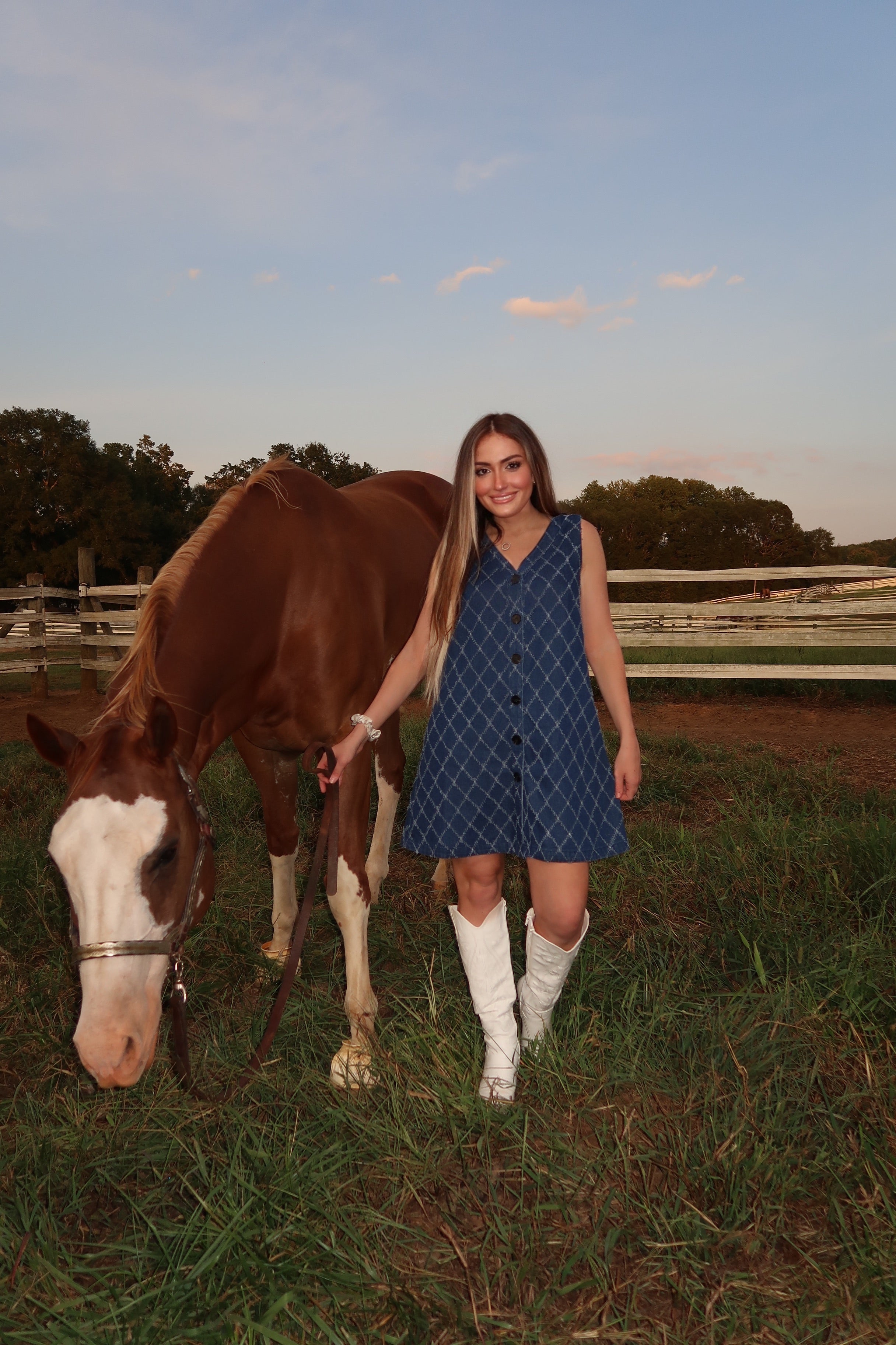 Auden Detailed Denim Dress- Dark Denim