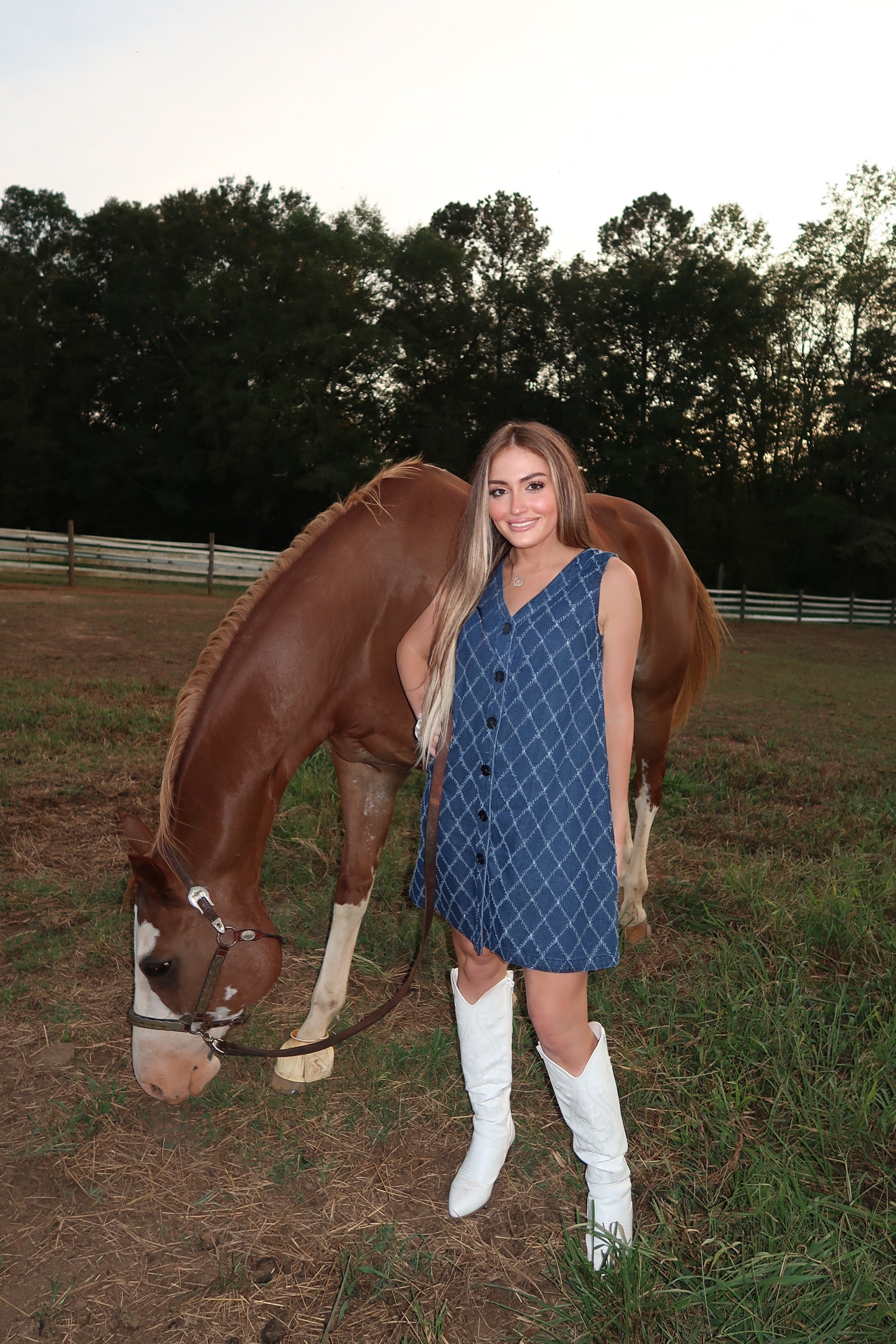 Auden Detailed Denim Dress- Dark Denim