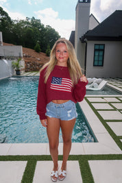 Bryn American Flag Ribbed Knit Sweater- Burgundy