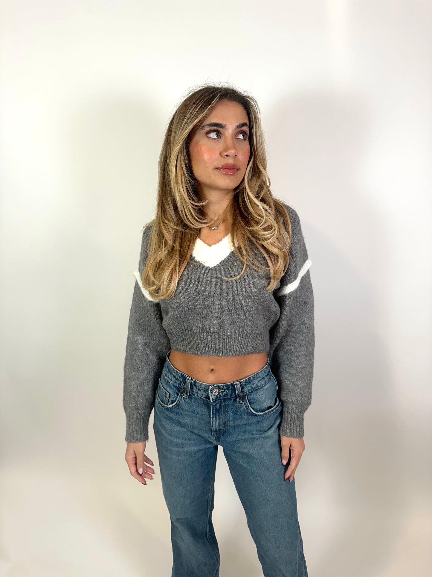 Charlotte Soft Knit V-Neck Pullover