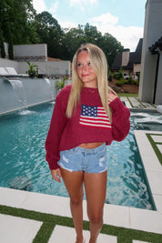 Bryn American Flag Ribbed Knit Sweater- Burgundy