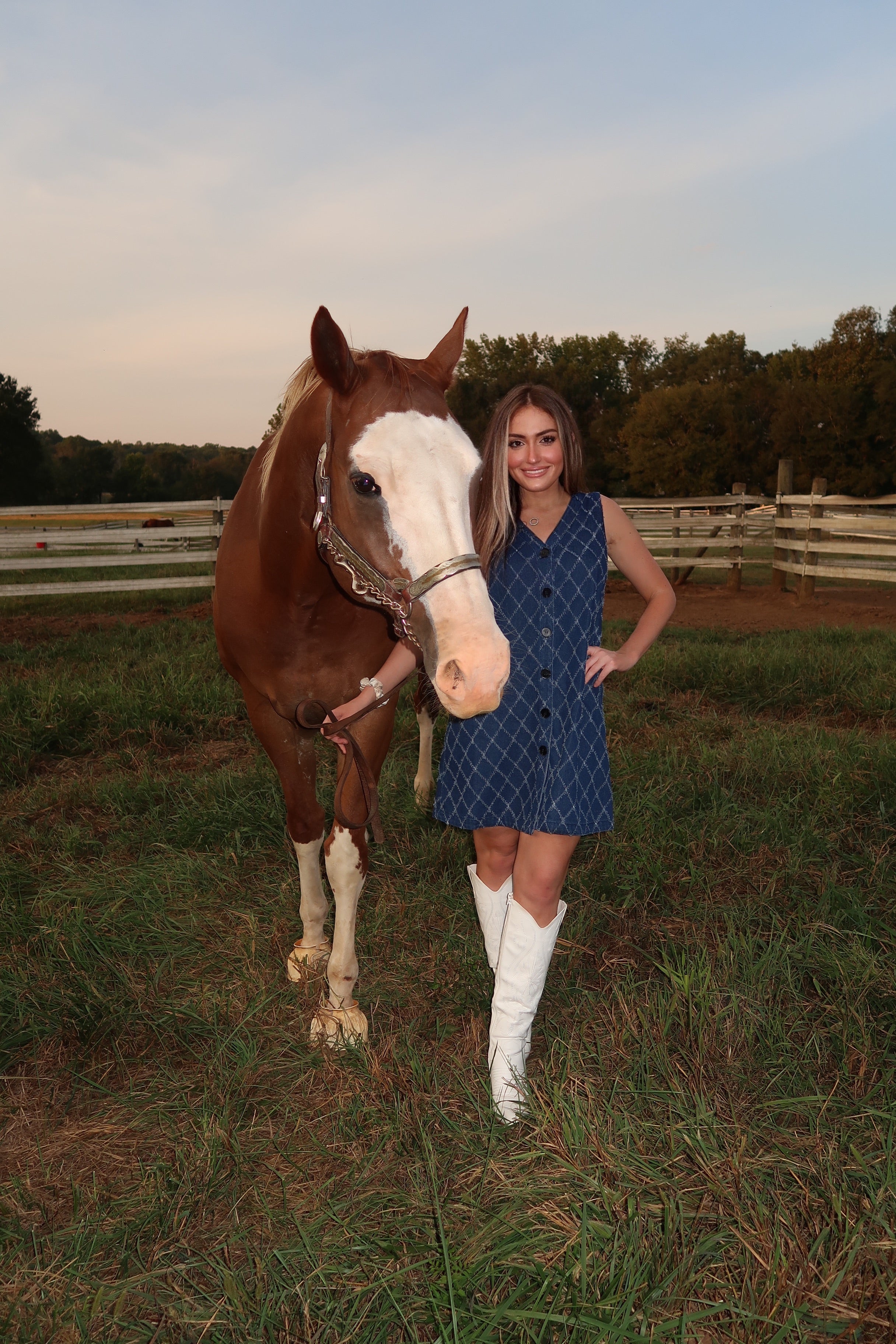 Auden Detailed Denim Dress- Dark Denim