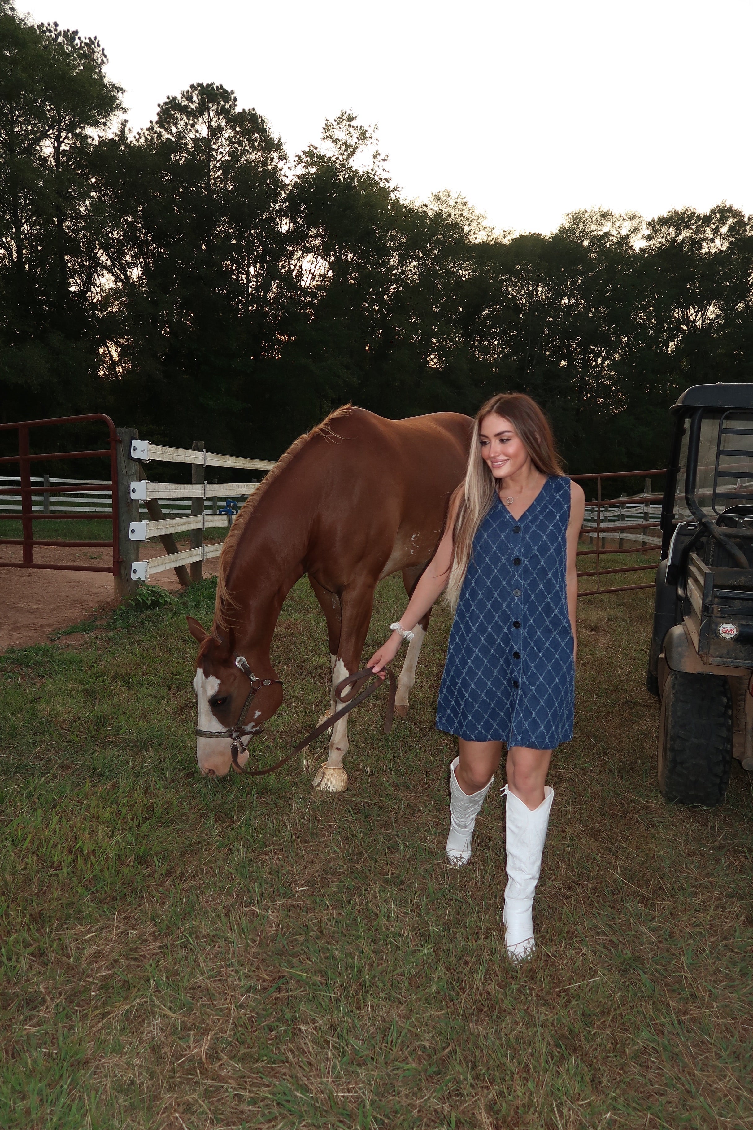 Auden Detailed Denim Dress- Dark Denim